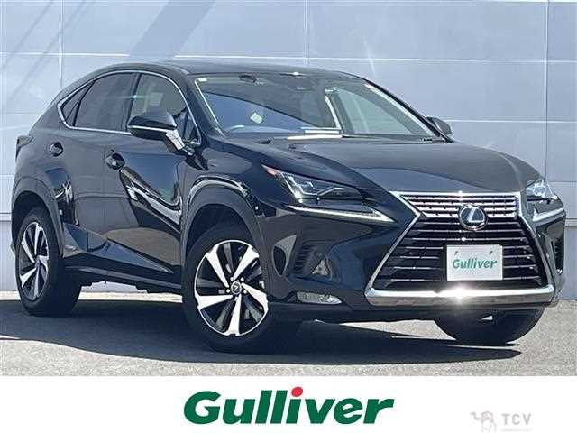 2020 Lexus NX