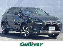 2020 Lexus NX