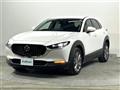 2023 Mazda CX-3