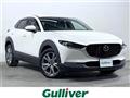 2022 Mazda CX-3