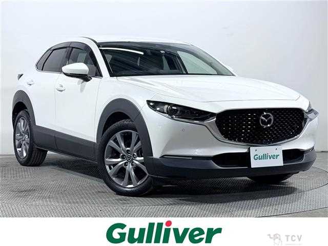 2022 Mazda CX-3