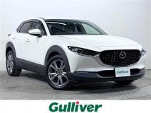2022 Mazda CX-3