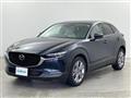 2021 Mazda CX-3