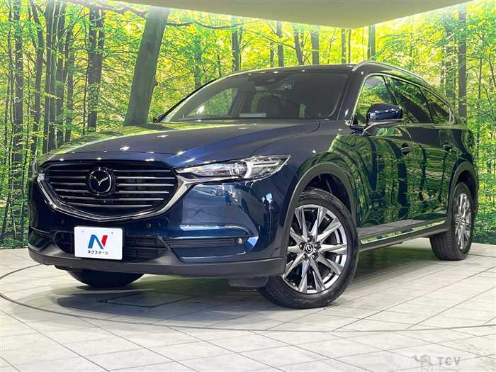 2019 Mazda CX-8