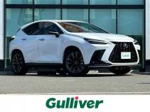 2022 Lexus NX