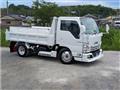 2010 Isuzu Isuzu Others