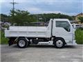 2010 Isuzu Isuzu Others