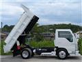 2010 Isuzu Isuzu Others