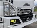 2010 Isuzu Isuzu Others