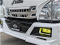 2010 Isuzu Isuzu Others
