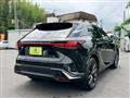 2025 Lexus RX