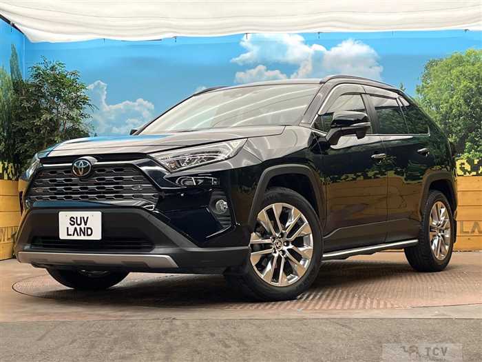 2019 Toyota RAV4