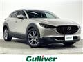 2023 Mazda CX-3