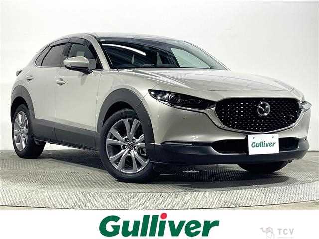2023 Mazda CX-3