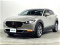 2023 Mazda CX-3