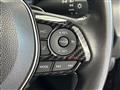 2019 Toyota Corolla Sports