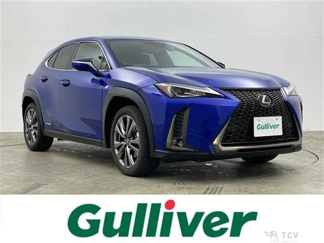 2021 Lexus UX