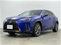 2021 Lexus UX