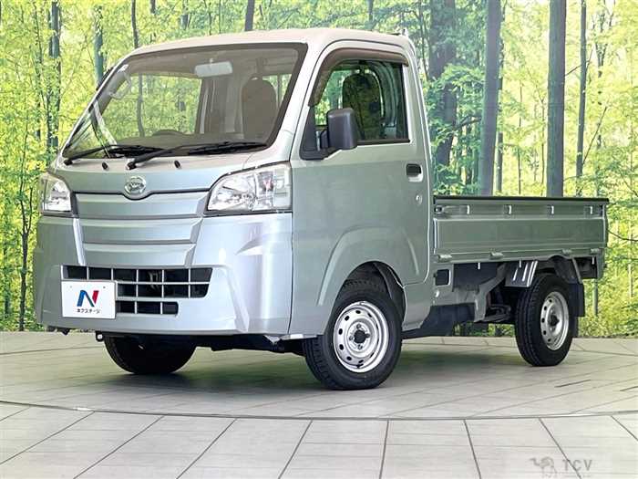 2018 Daihatsu Hijet Truck