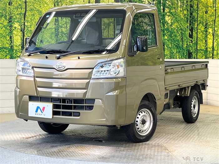 2020 Daihatsu Hijet Truck