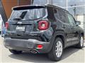 2019 Chrysler Renegade