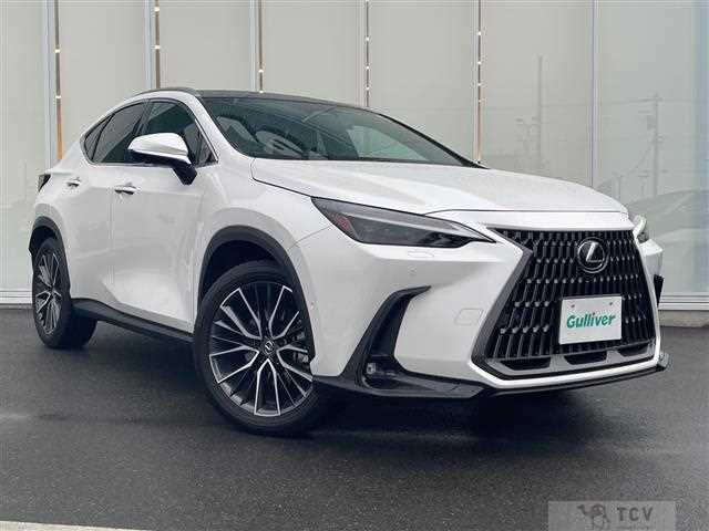 2023 Lexus NX