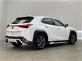 2019 Lexus UX