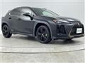 2021 Lexus UX