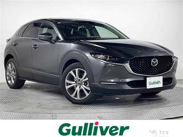 2021 Mazda CX-3