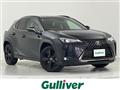 2020 Lexus UX