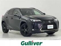 2020 Lexus UX