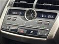 2020 Lexus NX