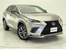 2020 Lexus NX