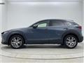 2019 Mazda CX-3