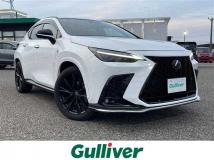 2023 Lexus NX