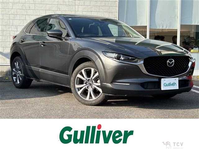 2022 Mazda CX-3