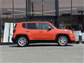 2020 Chrysler Renegade