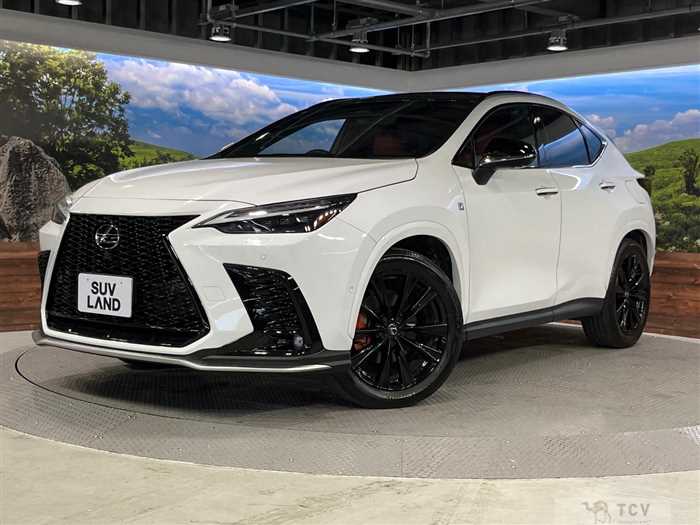 2023 Lexus NX