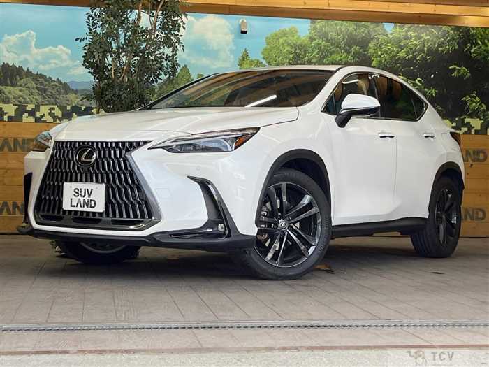 2023 Lexus NX
