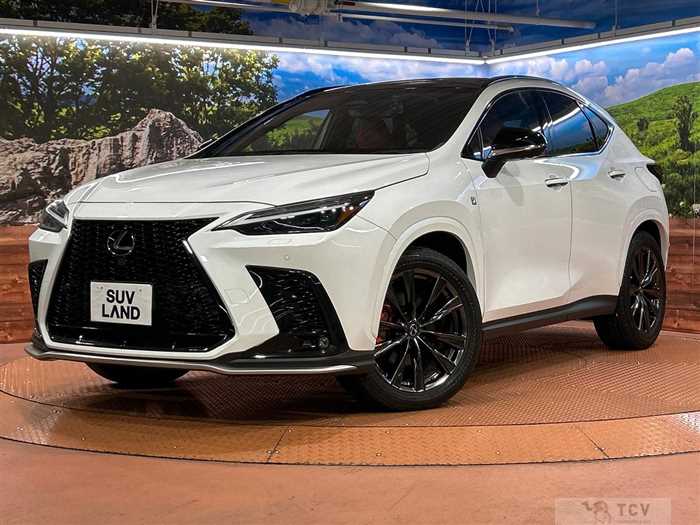 2022 Lexus NX