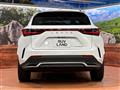 2022 Lexus NX