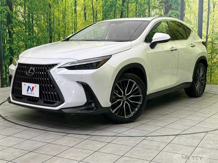 2023 Lexus NX