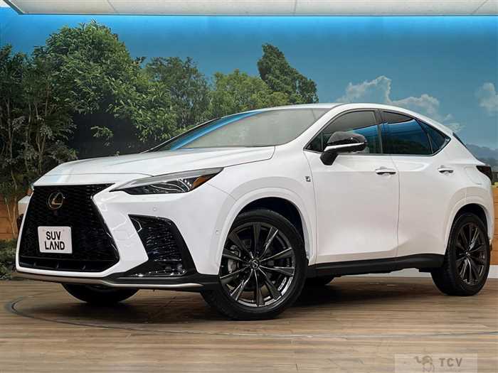 2022 Lexus NX