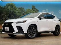 2022 Lexus NX