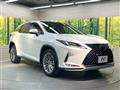 2019 Lexus RX