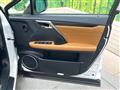 2019 Lexus RX