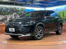 2017 Lexus NX