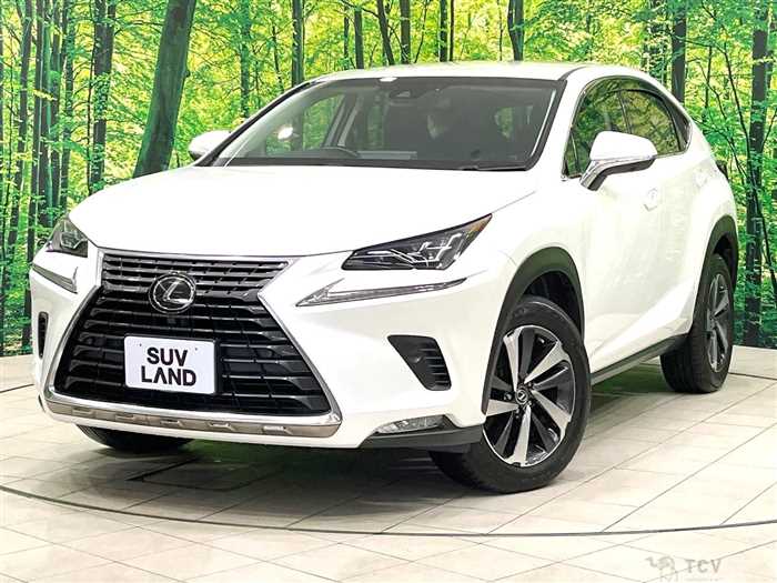2018 Lexus NX