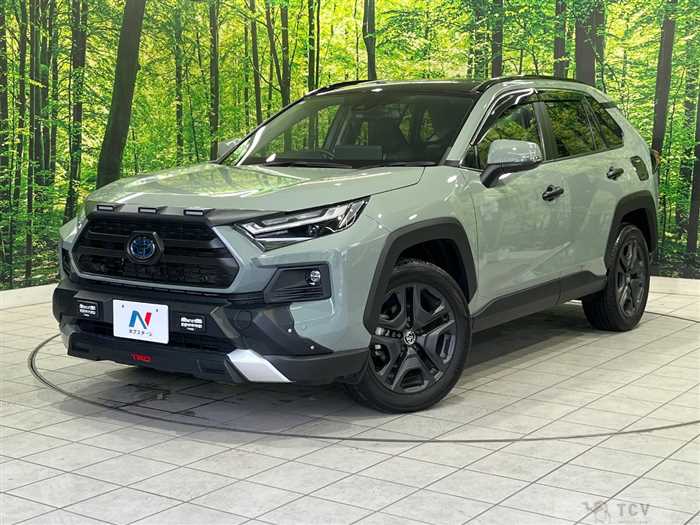 2024 Toyota RAV4