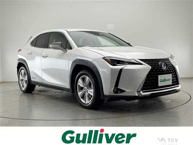 2019 Lexus UX